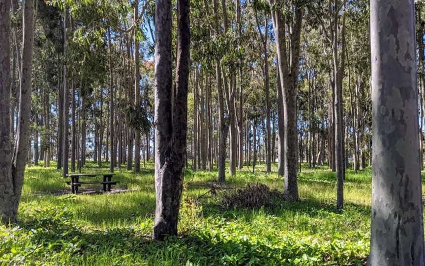 Tuart Forest National Park, Tourist attractions in Ludlow