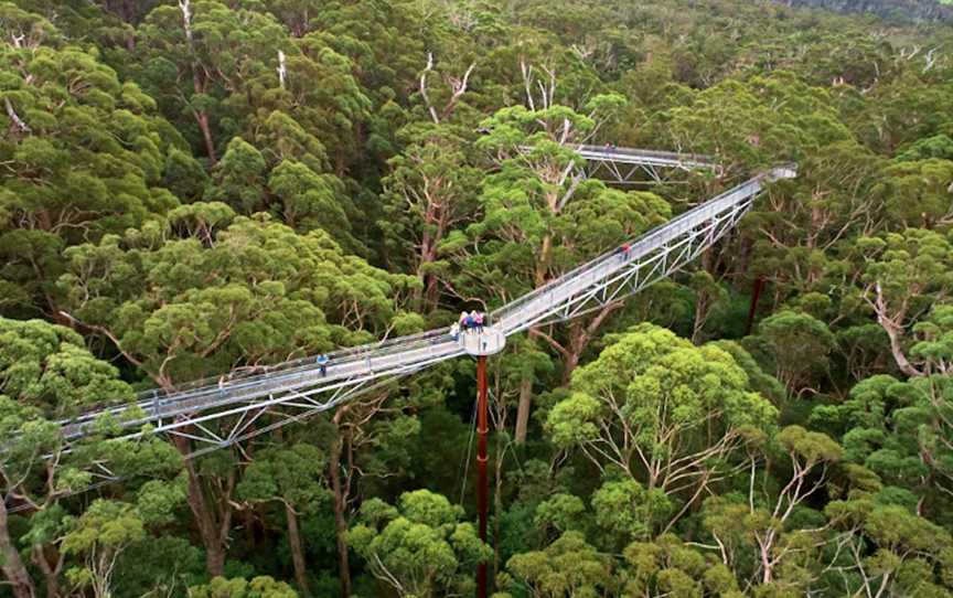 Valley of the Giants TreeTop Walk, Attractions in Tingledale