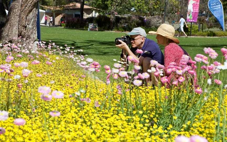 Wander through the State Botanic Garden and capture the wildflowers in bloom.