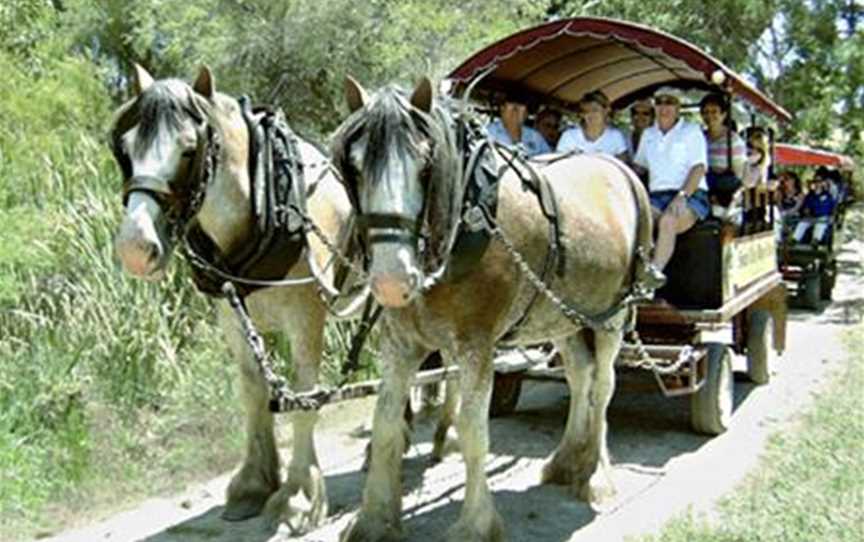 Swan Valley Wagon Trails, Attractions in Guildford