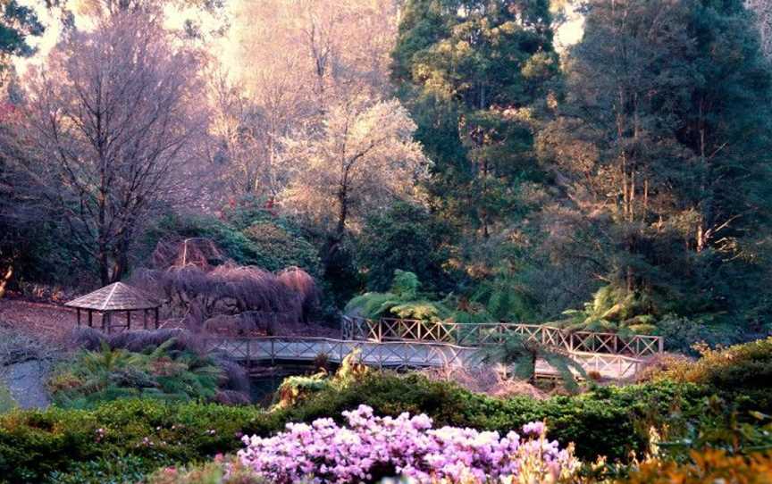Dandenong Ranges Botanic Garden, Attractions in Olinda