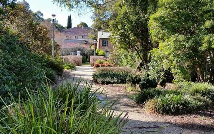 Picton Botanical Gardens, Picton, NSW