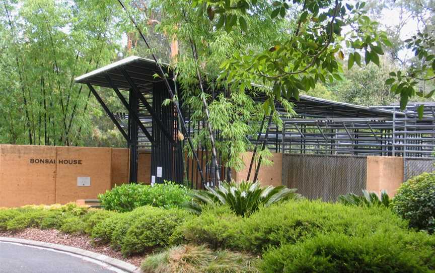 Brisbane Botanic Gardens MtCoot-tha, Brisbane, QLD