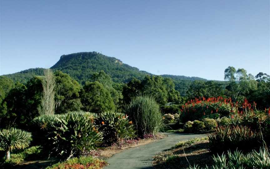 Wollongong Botanic Garden, Keiraville, NSW