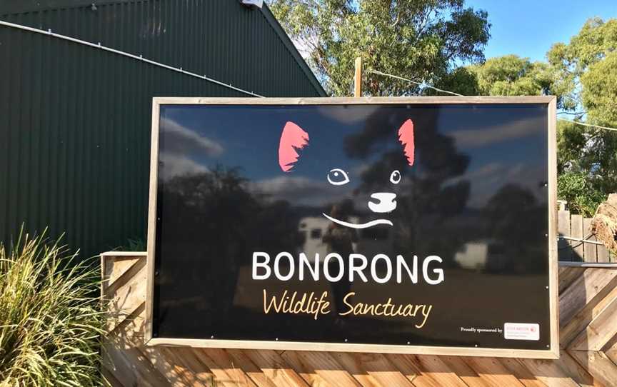 Bonorong Wildlife Sanctuary, Brighton, TAS
