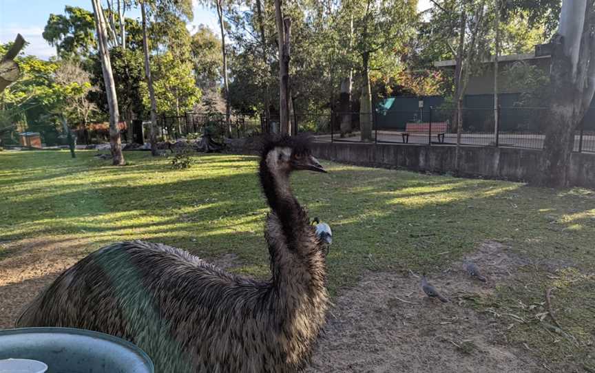 Rockhampton Zoo, West Rockhampton, QLD