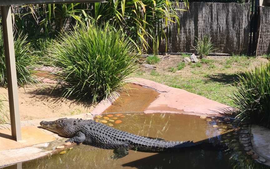 Rockhampton Zoo, West Rockhampton, QLD