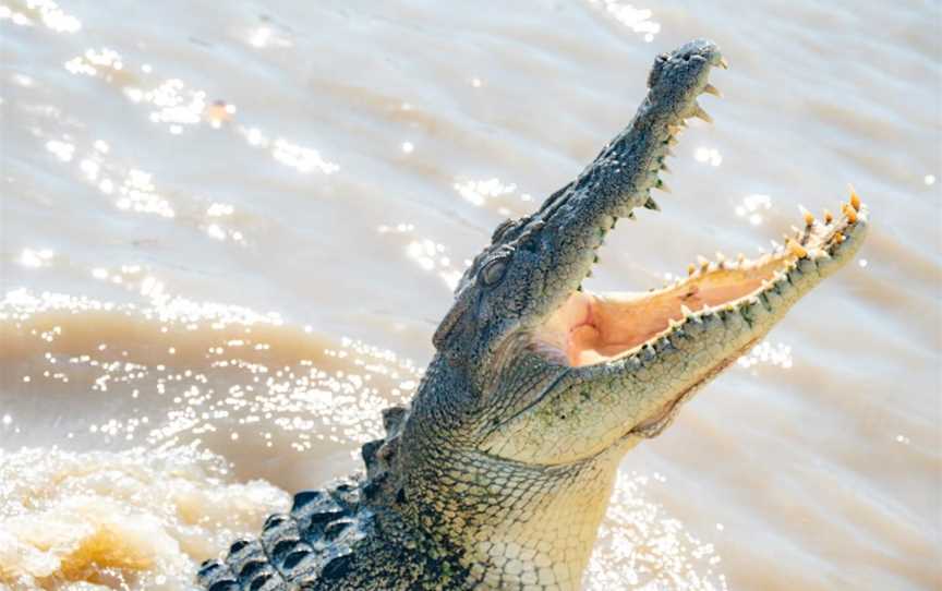 Spectacular Jumping Crocodile Cruise, Tourist attractions in Wak Wak