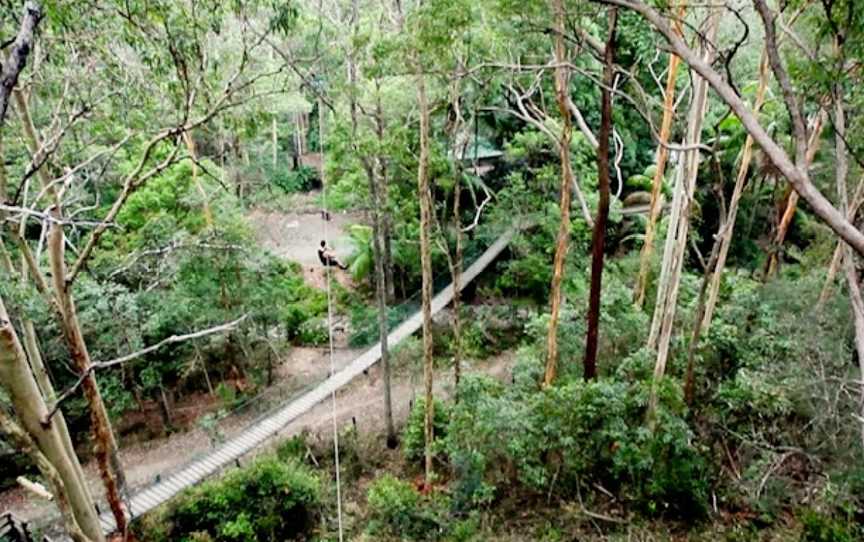 TreeTop Challenge Gold Coast - Australia's Largest Adventure Park, Tamborine Mountain, qld
