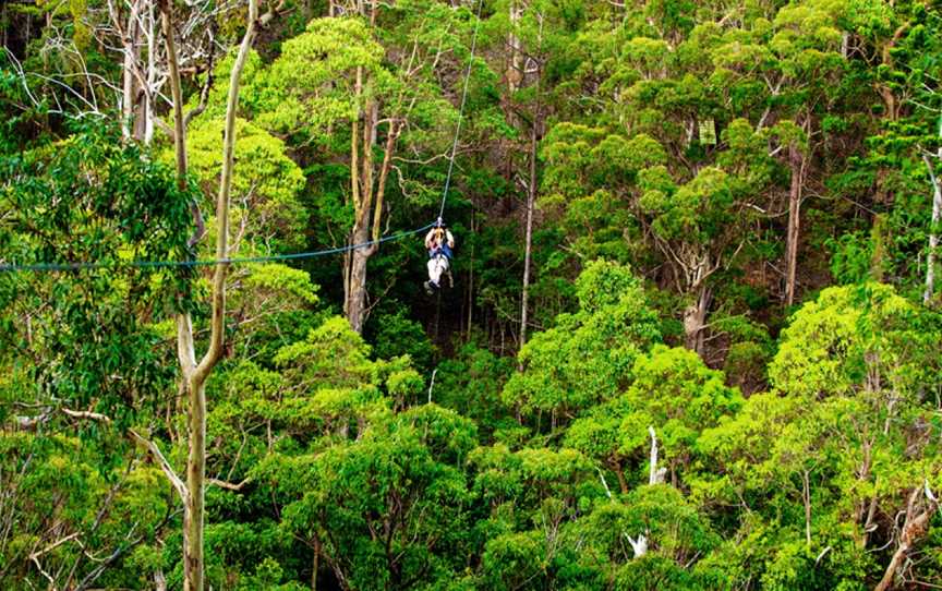 TreeTop Challenge Gold Coast - Australia's Largest Adventure Park, Attractions in Tamborine Mountain