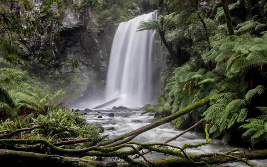 Hopetoun Falls, Cape Otway, VIC