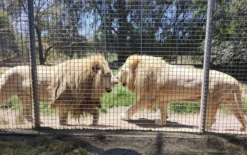 Mansfield Zoo, Mansfield, VIC