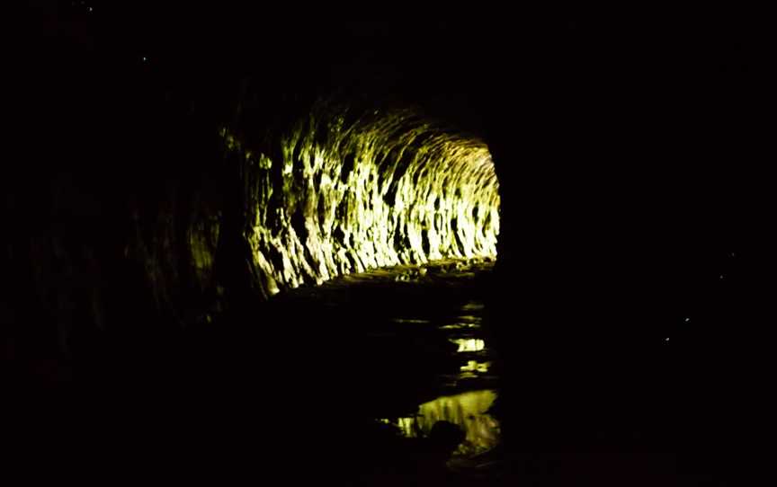 Glow Worm Tunnel, Lithgow, NSW