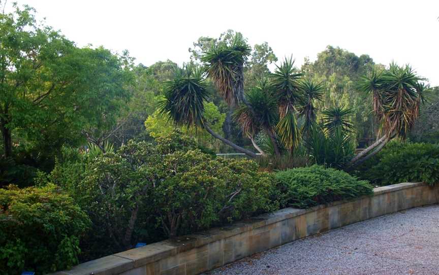 Gold Coast Regional Botanic Gardens, Benowa, QLD