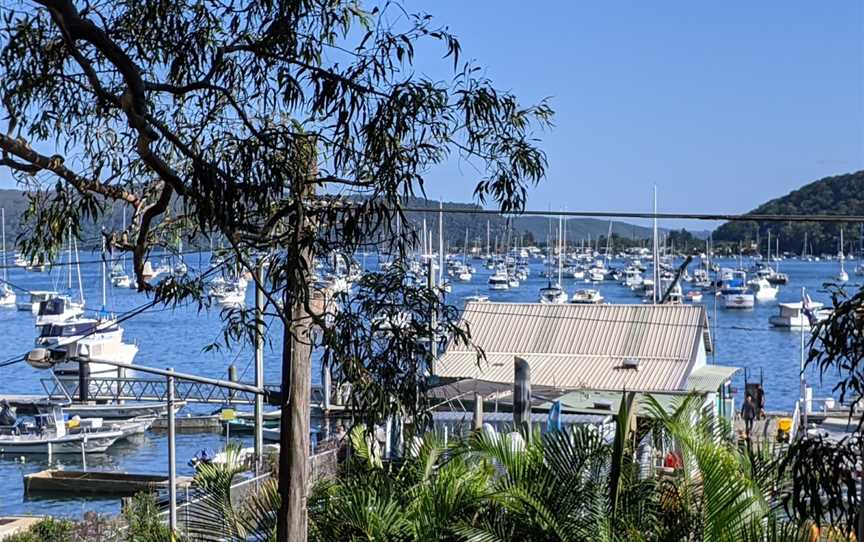 Careel Bay Marina, Avalon Beach, NSW
