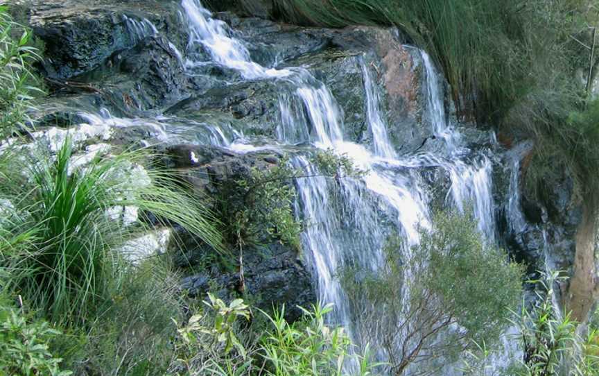 Goomoolahra Falls, Springbrook, QLD