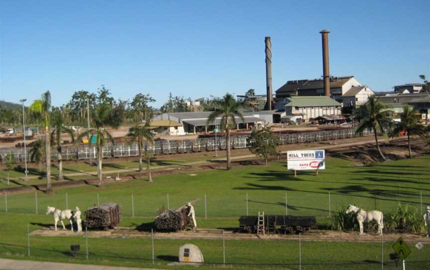 Golden Gumboot, Tully, QLD