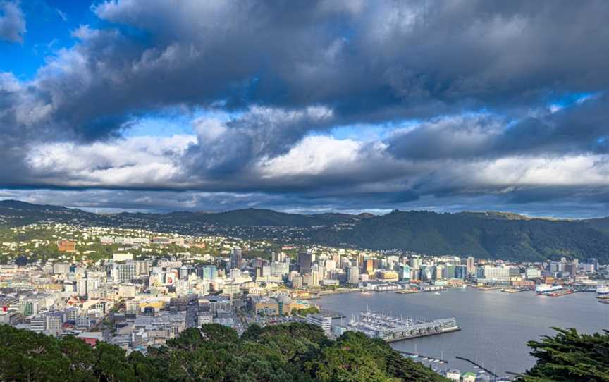 Mount Victoria Lookout, Hataitai, New Zealand