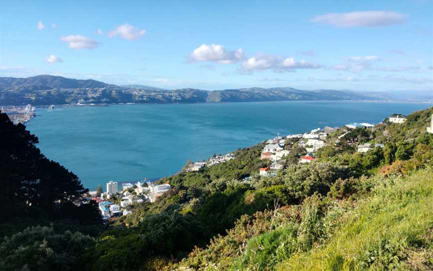 Mount Victoria Lookout, Hataitai, New Zealand