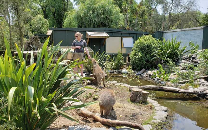 Willowbank Wildlife Reserve, Northwood, New Zealand