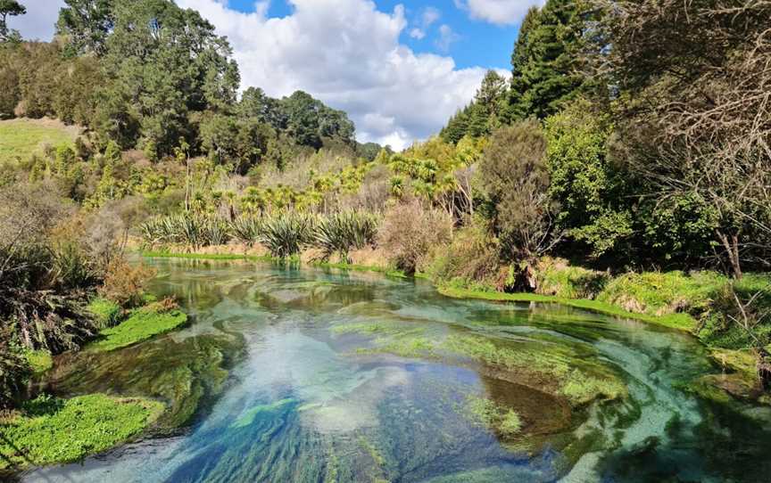 Blue Spring Putaruru, Putaruru, New Zealand