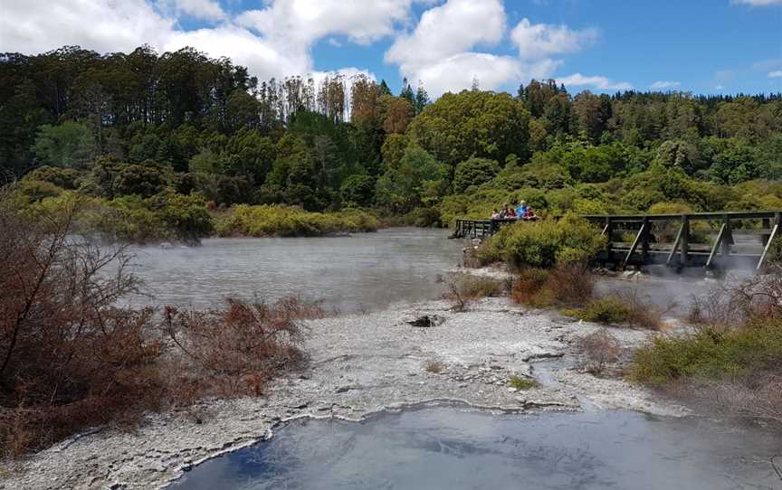 Whaka Geothermal Trails, Whakarewarewa, New Zealand