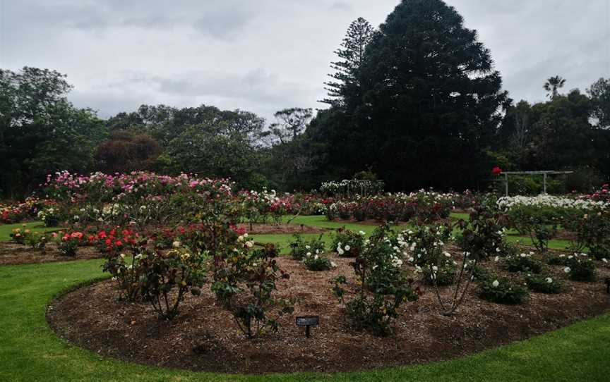 Dove Myer Robinson Park (Parnell Rose Garden), Parnell, New Zealand