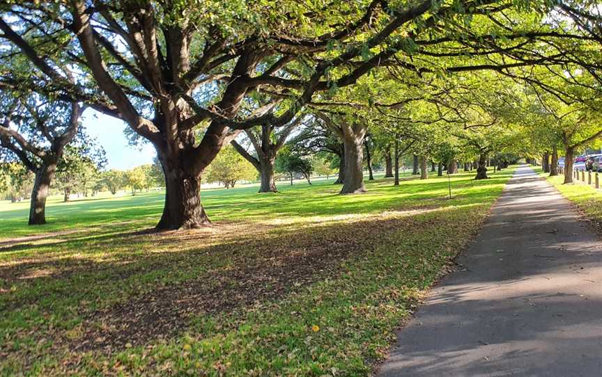 South Hagley Park, Christchurch, New Zealand