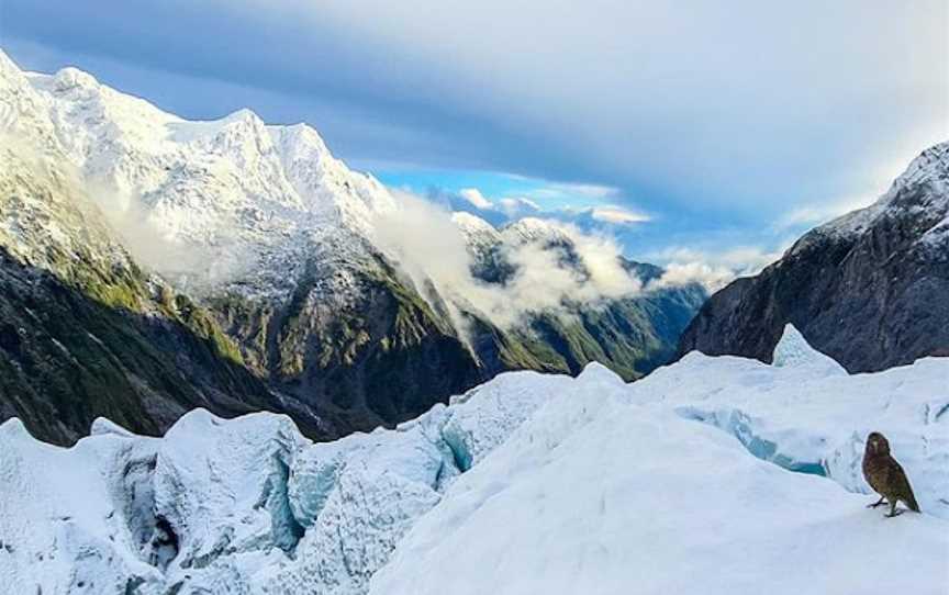 Franz Josef Glacier Guides, Waiau, New Zealand