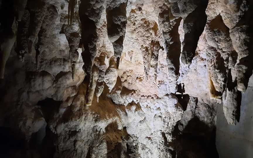 Waitomo Caves, Te Awamutu, New Zealand