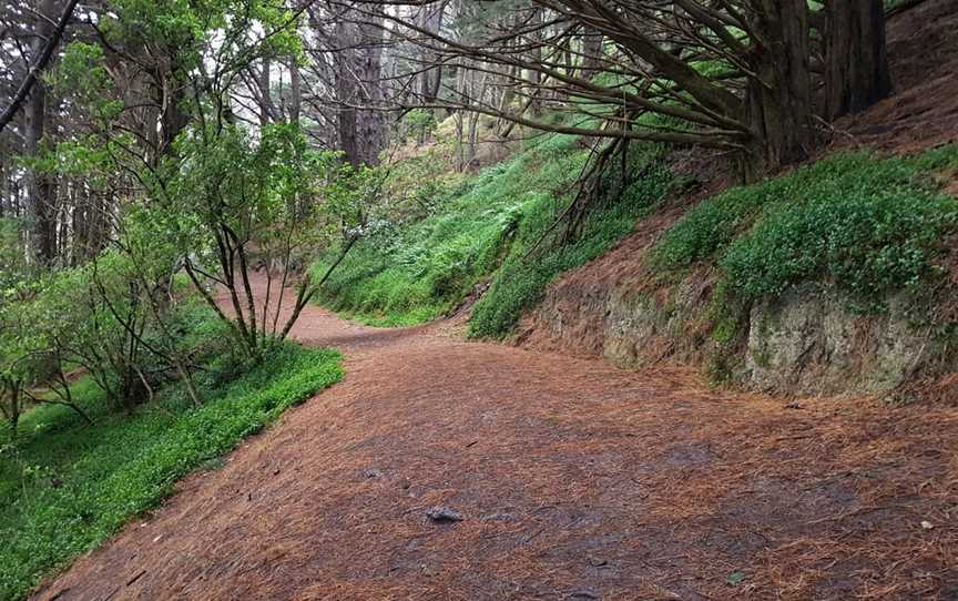 Hobbit's Hideaway, Mount Victoria, New Zealand
