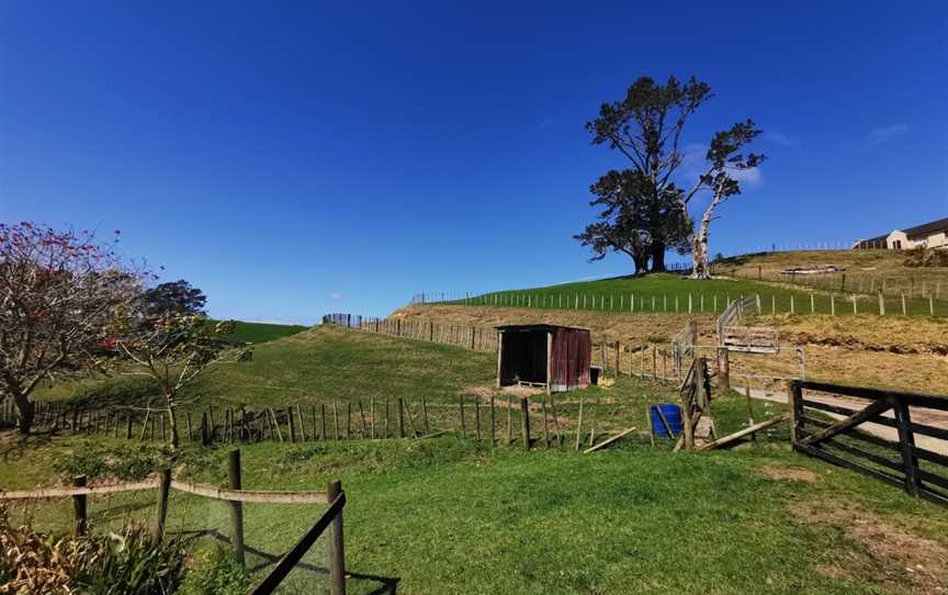 Kiwi Valley Farm Park, Henderson Valley, New Zealand