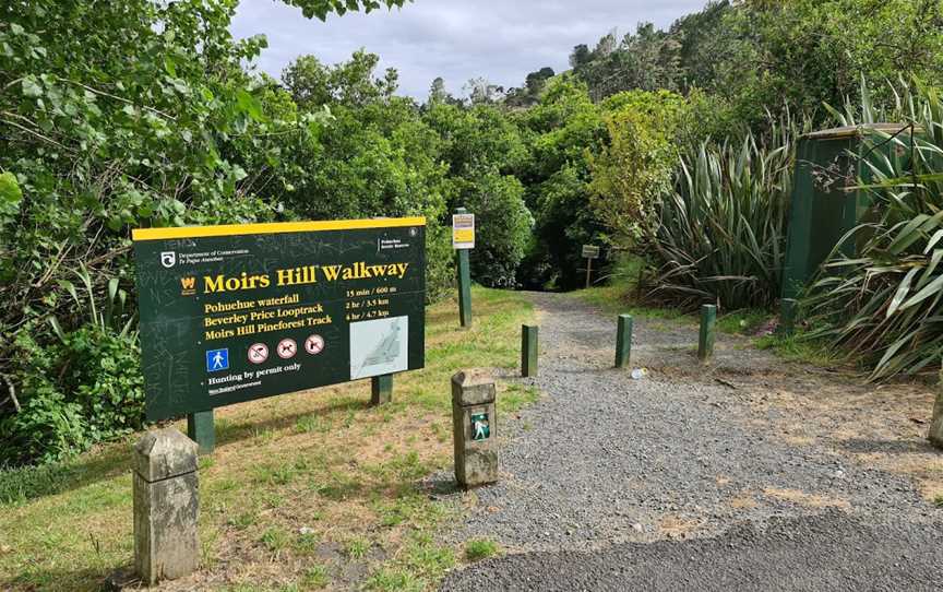 Moirs Hill Walkway / Pohuehue Waterfalls DOC #11, Warkworth, New Zealand