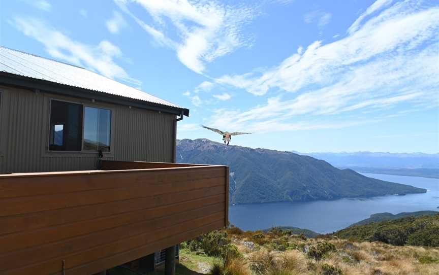 Luxmore Hut, Fiordland, New Zealand