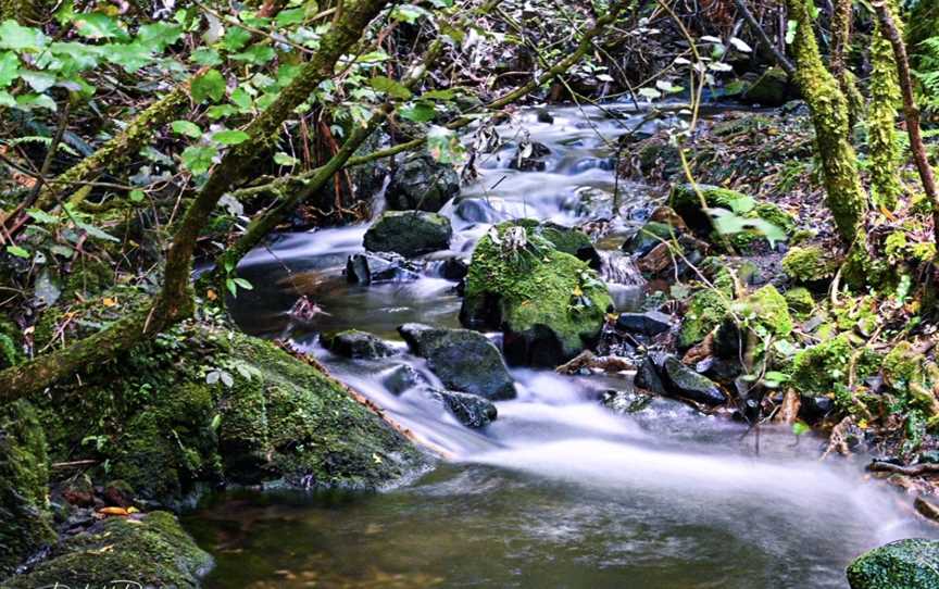 Birchville Dam, Upper Hutt, New Zealand