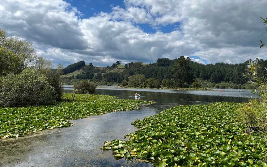 Dunham's Point Reserve, Kinleith, New Zealand