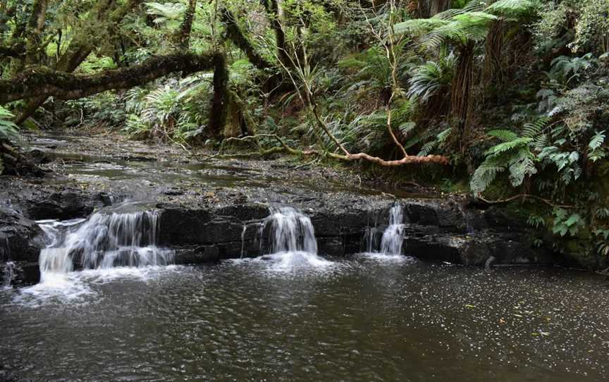 Purakanui Falls, Owaka, New Zealand