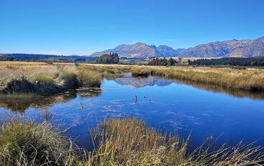 Rakatu Wetlands, Fiordland, New Zealand