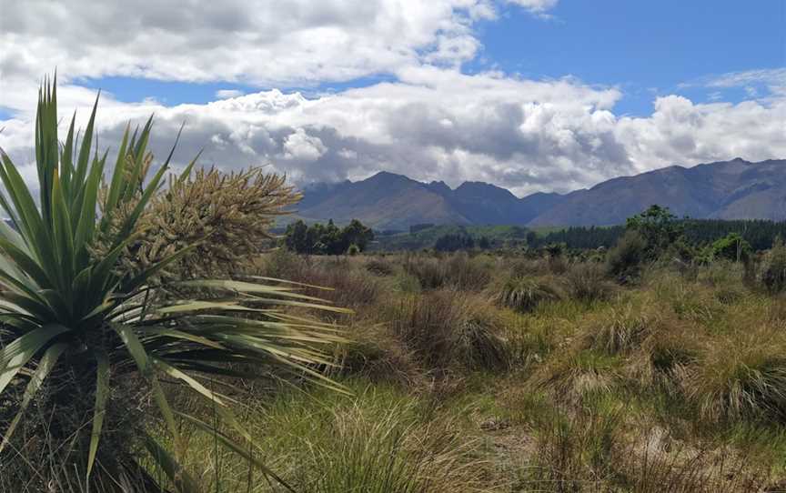 Rakatu Wetlands, Fiordland, New Zealand