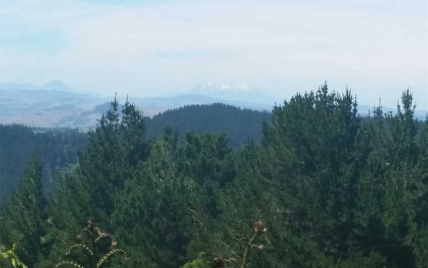 Haggas Lookout, Ohakea, New Zealand