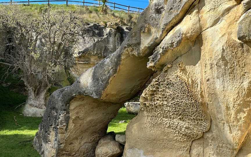 Anatini Fossil Place, Island Cliff, New Zealand