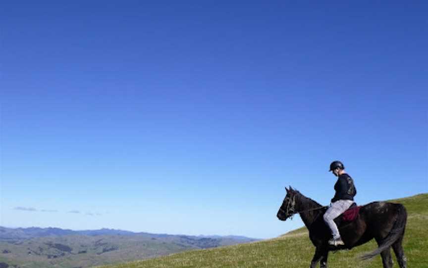 Gladstone horse treks, Masterton, New Zealand