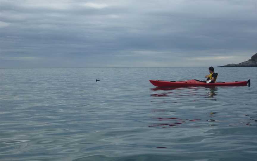 Eden Wildlife Cruises & Sea Kayaking, Otakou, New Zealand