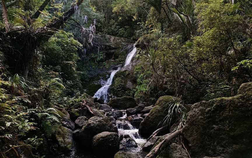 Waiotemarama Falls, Waimamaku, New Zealand