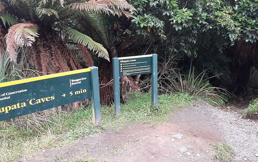 Okupata Caves, Ohakea, New Zealand