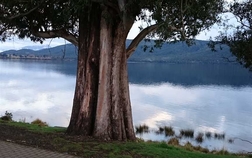 Great Walks, Te Anau, New Zealand