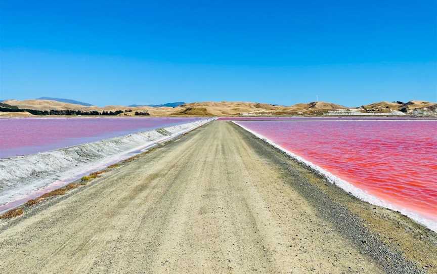 Saltworks, Marlborough, New Zealand