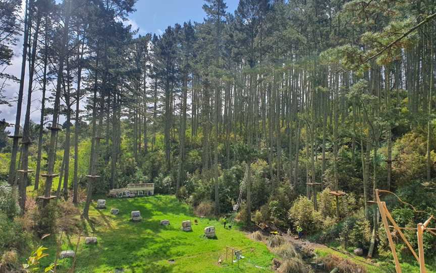 Adrenalin Forest Porirua, Bombay, New Zealand