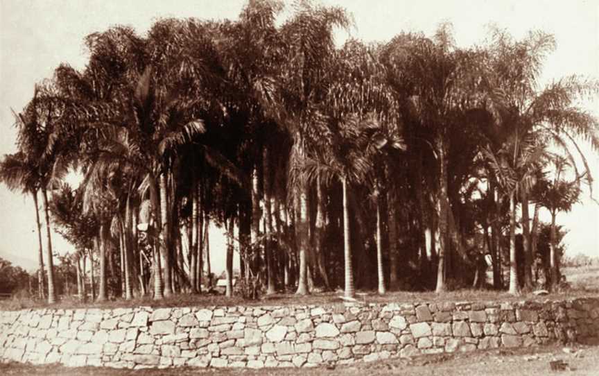 Rockhampton Botanic Gardens, The Range, QLD