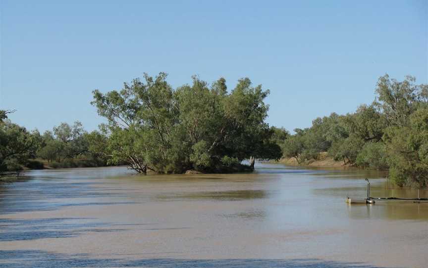 Thomson River, Jundah, QLD